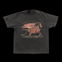 Horse T-shirt designed for the salty horse cafe based in Newport Blvd